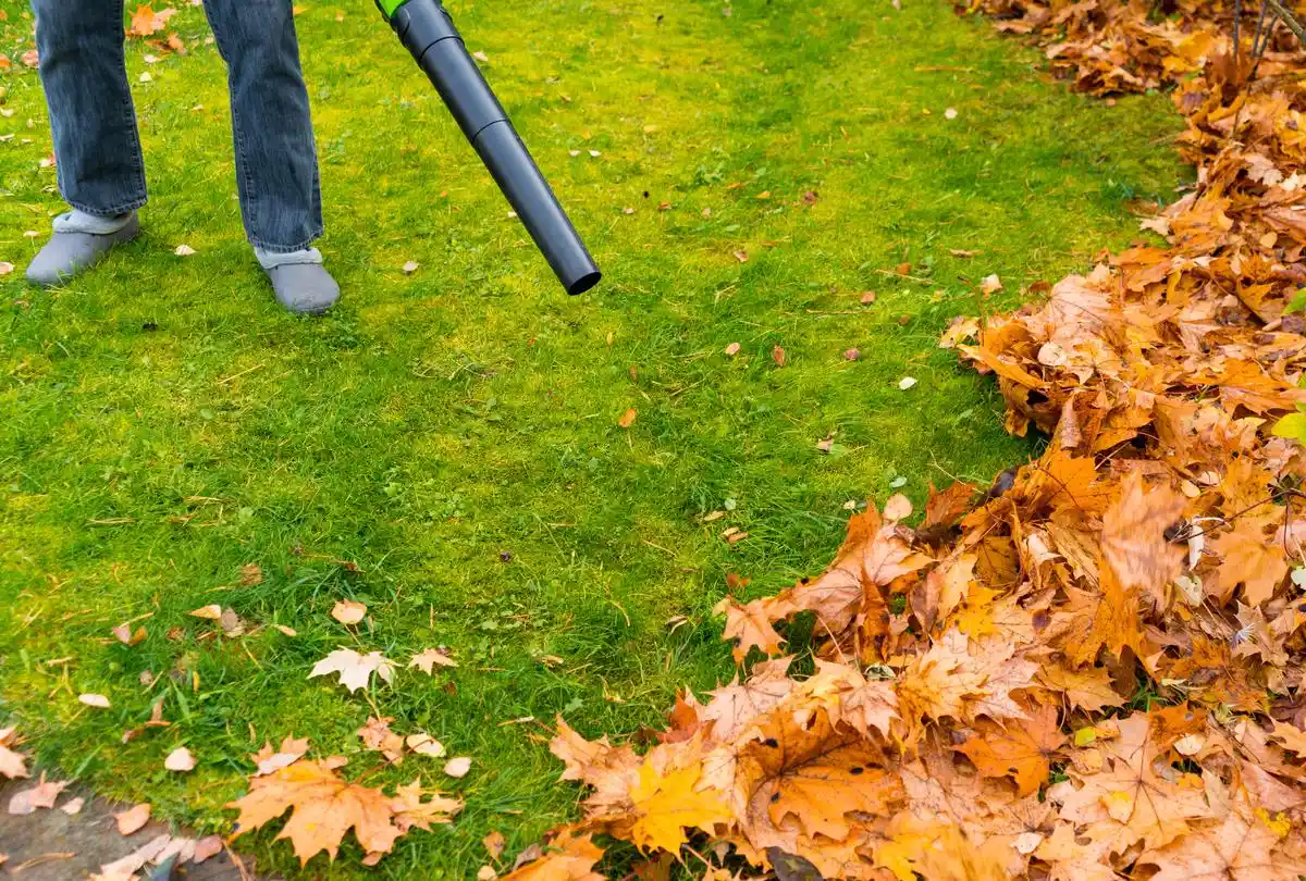 meilleur souffleur de feuilles sans fil au Québec